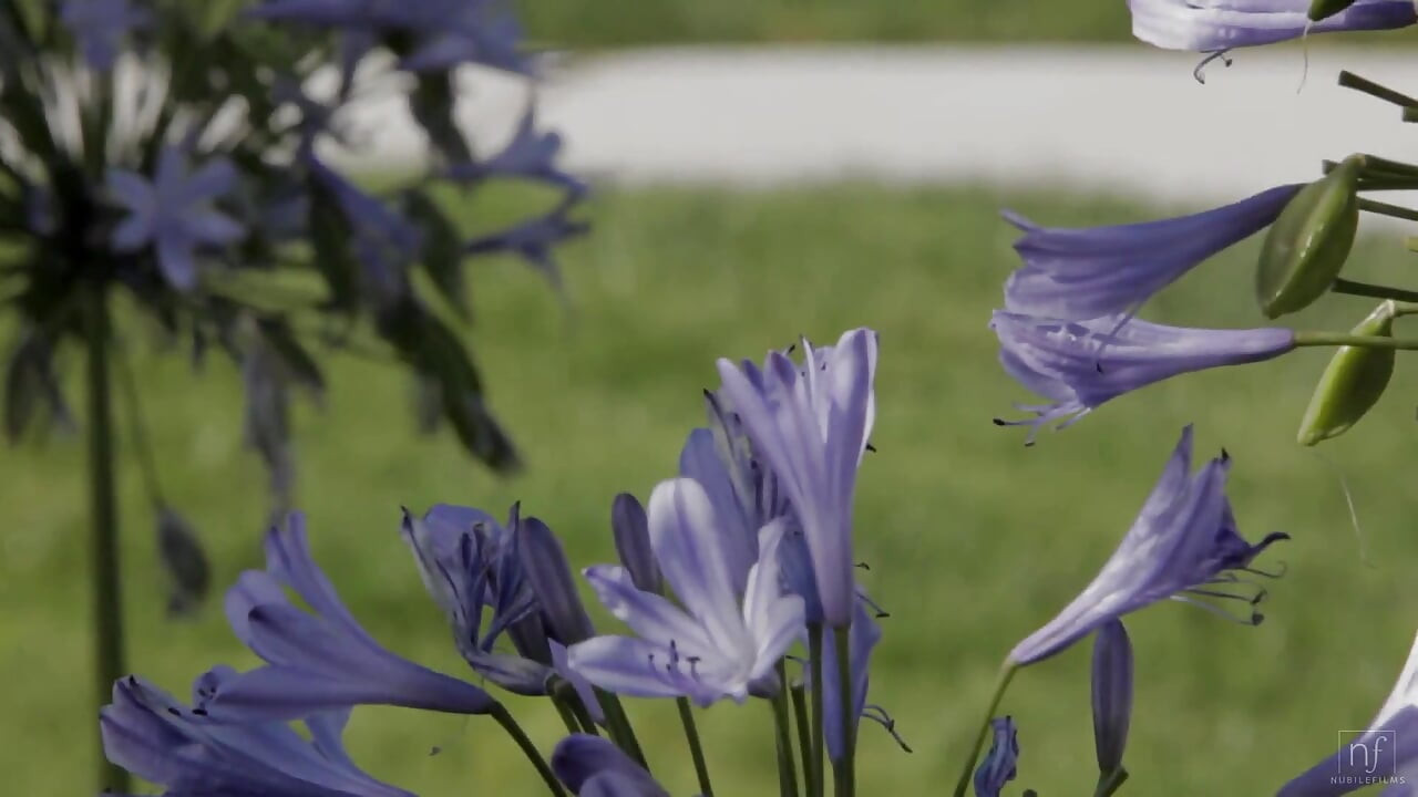 In Bloom - S3e1