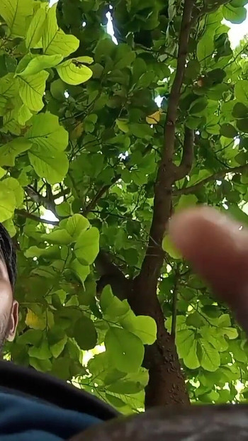 "desi bhartiy larke ykal hastmaithun" se pal sajha karna chahie