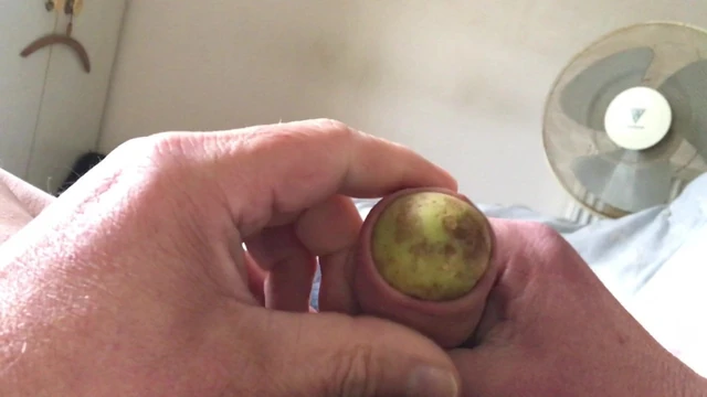 Saturday foreskin - three potatoes