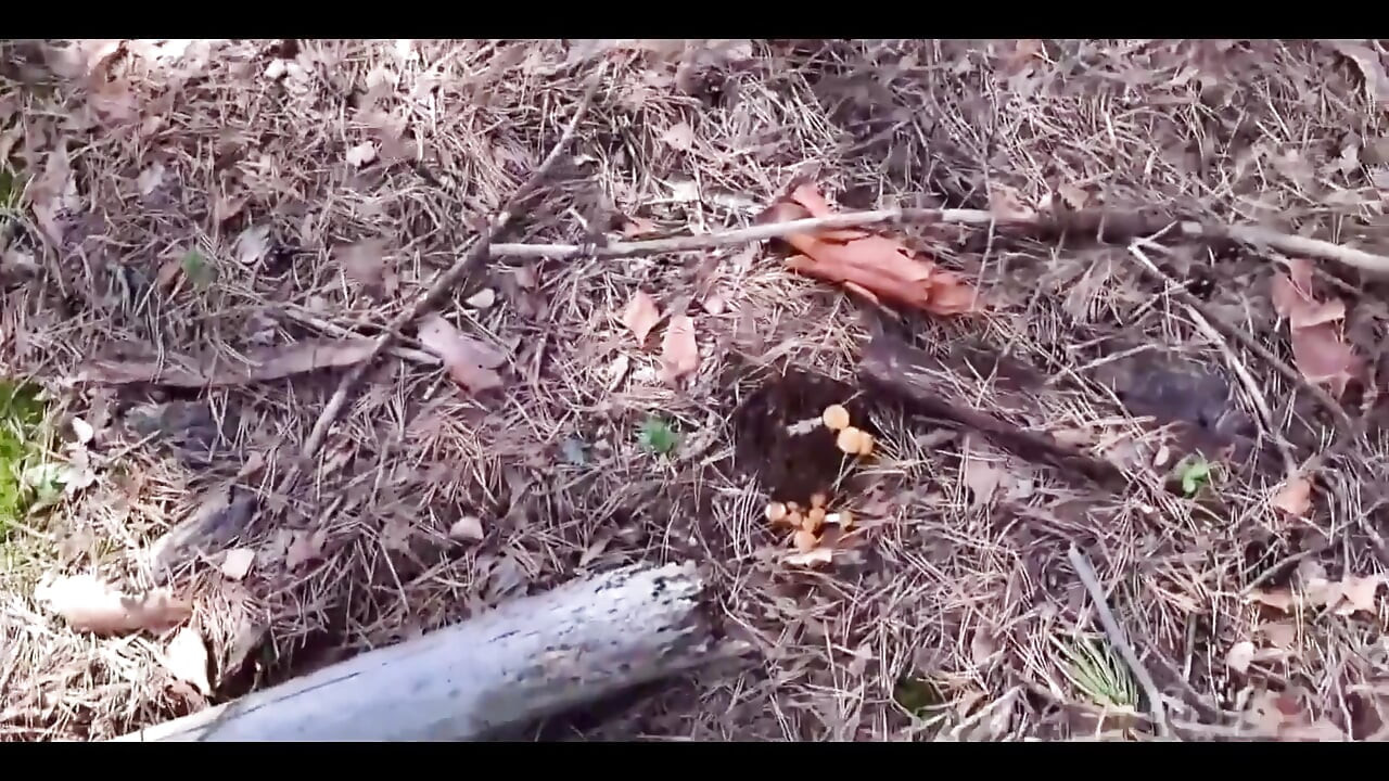 엉덩이에 하드코어 섹스 엔딩으로 끝난 산책