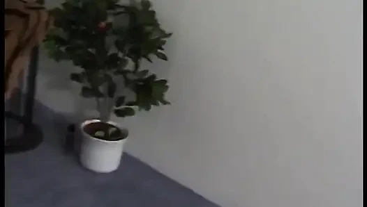 Грудастую телочку-брюнетку шпилят на кастинге