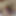 Tombul köleler MILF benim zevkim için kullandı