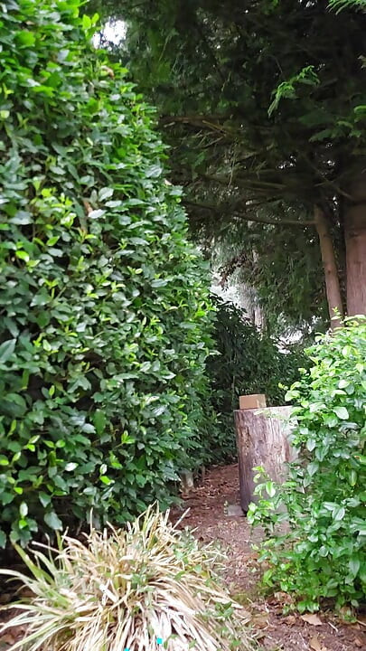 Backyard Sideyard and Street Viewing Nude
