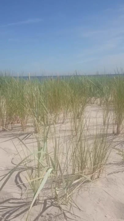 Het strand