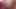 une femme blonde suce davanr son mari video tres chaude
