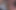 Cum Swallowing by Desi Stepsister-homemade Closeup
