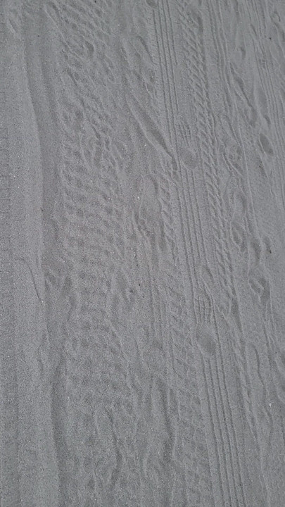 Beach babe nudist Beach  naughtybaby