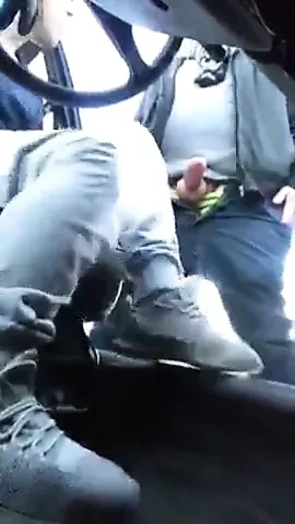 I suck everywhere I found cocks