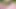 Hintli pandit seksi iç çamaşırlı komşu karısıyla ateşli sikişiyor dölleniyor