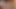 XXL 10 cm Dildo Assfuck Nr.16
