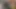 Yeni güzel kız erkek arkadaşının yarağını emiyor.
