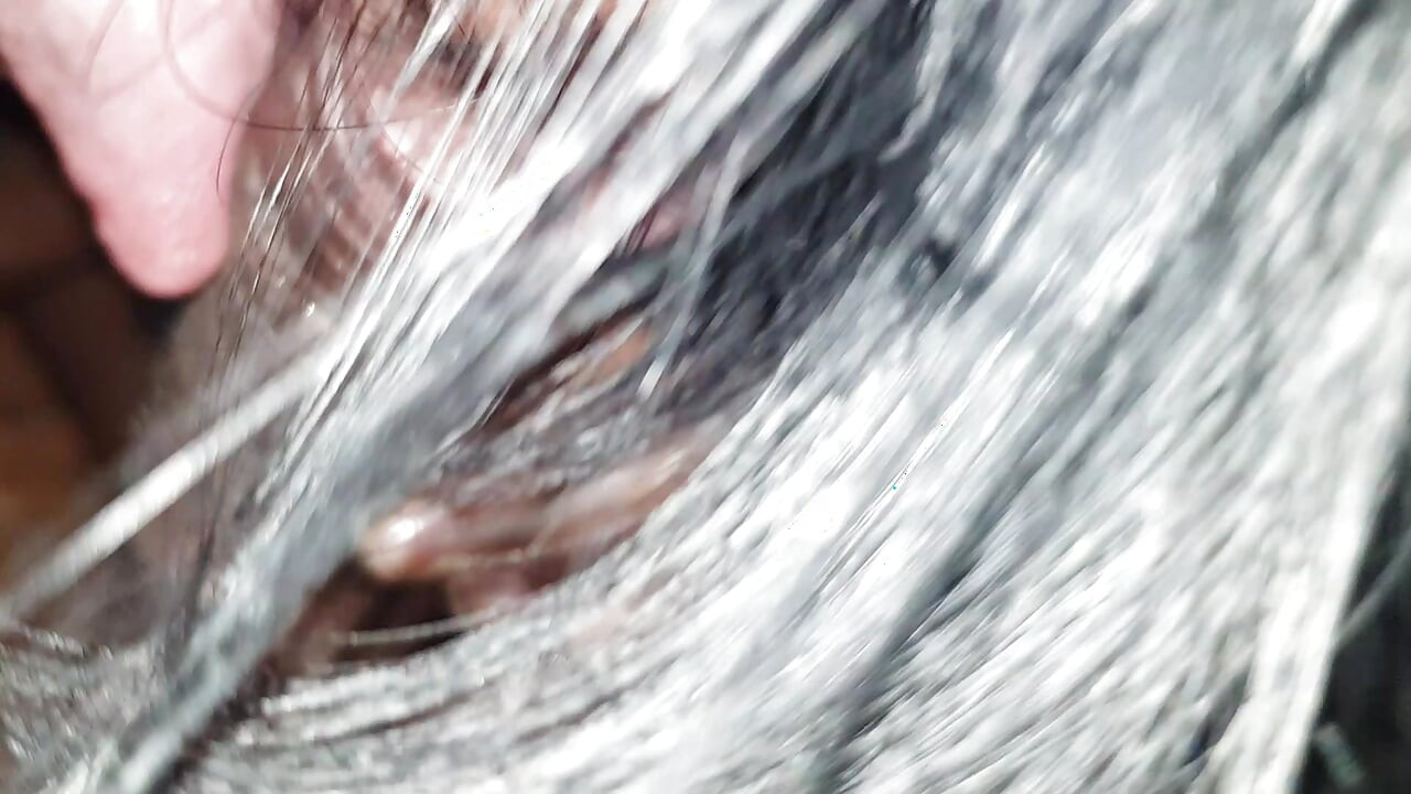 욕심 많은 펠라