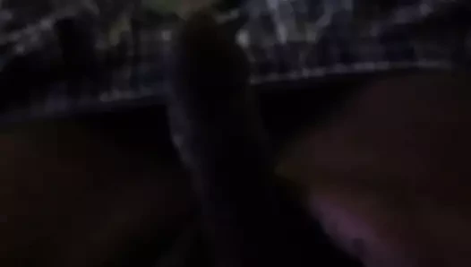 benim küçük dostum