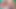 Üniversiteli bağlı üvey erkek kardeşinin bakire üvey kız kardeşine sürpriz - dildo oyunu ve yüze boşalma