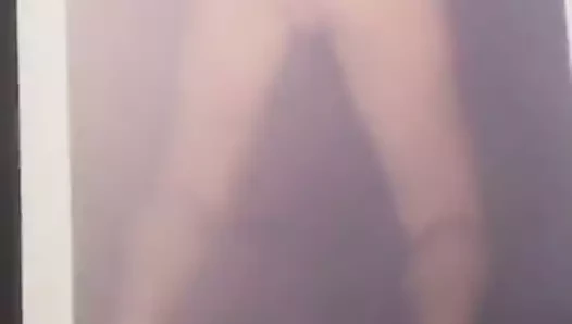 gf haraç