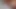 Hentai porn game in the wild with girls 18+
