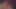 SPHホワイトコックスとBBC