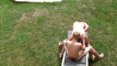 Pregled videozapisa