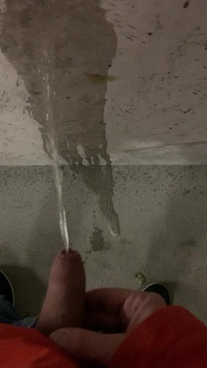 Pissing in Basement Garage 1