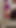 Big ass busty milf in mini dress flash fat booty close up