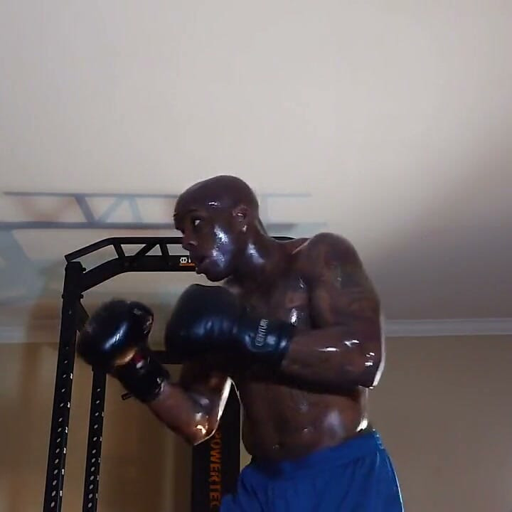 Boxing Workout Integrated Training Combines Flexibility, Cardiorespiratory, Core, Balance, Plyometric