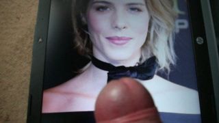 Hommage an Emily Bett Rickards