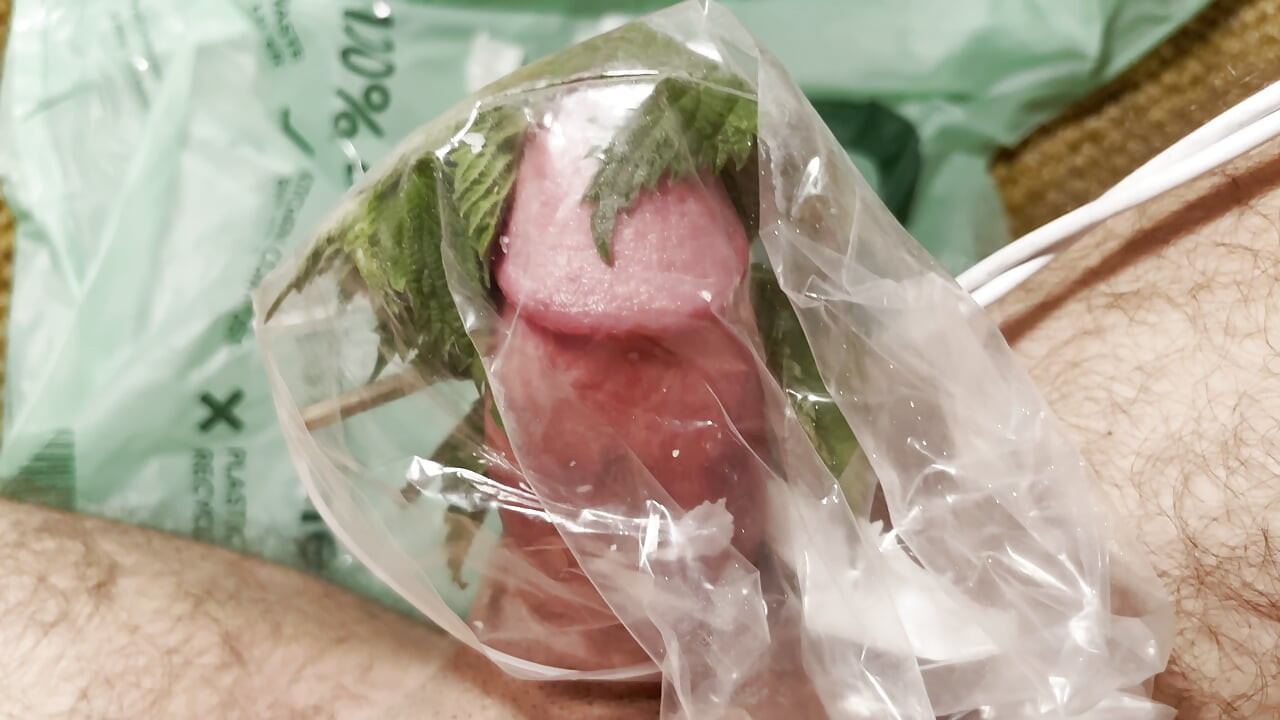 Cbt Stinging nettles candle wax cum