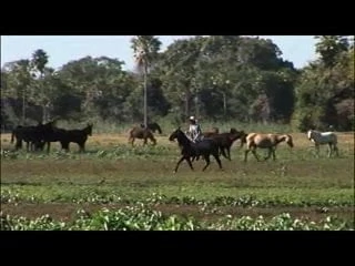 SCENE 22