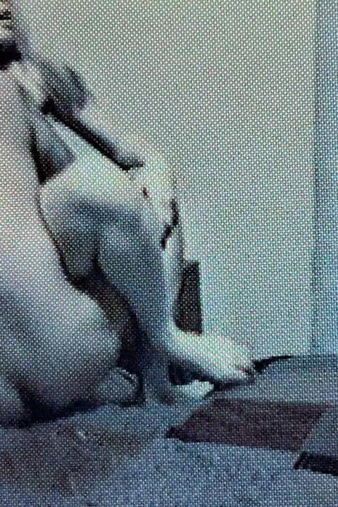 Трясет