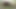 Voyeur POV of creampied FTM cunt & spanking in a forest