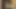 Gavin Wolfe cumpilation