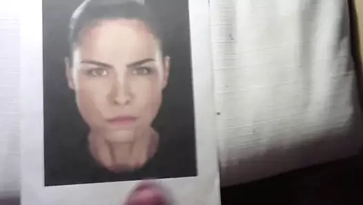 haraç sarsıldı kapalı büyük çük