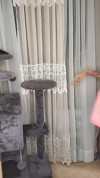 Pratinjau video