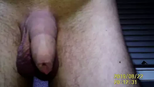 Beyler kesilmemiş horoz