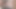 Bareback Creampie Handsfree Prostate Cum Twink
