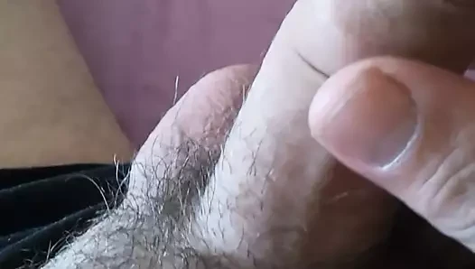 polla