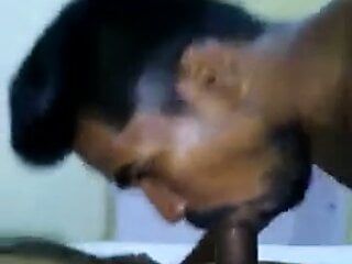 Tamilski gej ssący głęboko w pokoju