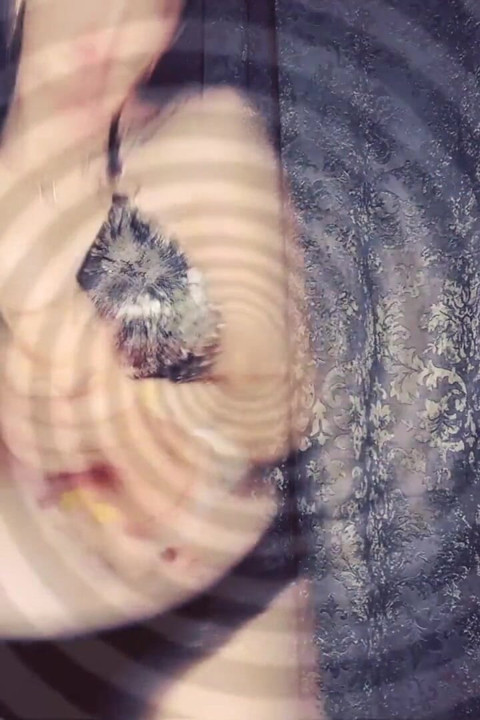 Sniffers everyday! Day 1 stuff your ass for me bitch!