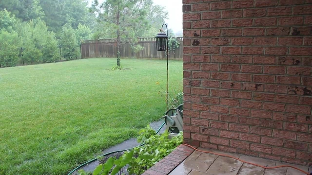 Stormy Tinkle
