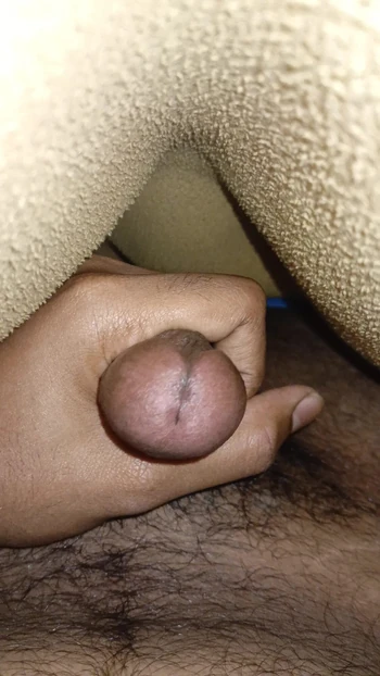Rubbing cock