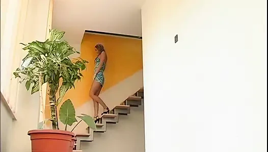 The Stangona Network