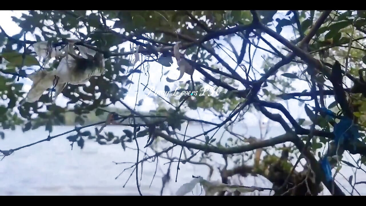 Estranho pescador, me fodeu na praia, gozada dentro da minha buceta, por favor