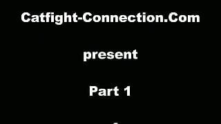 Catfight-Connection