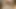 Futa anal lesson for the teacher in a 3d animation