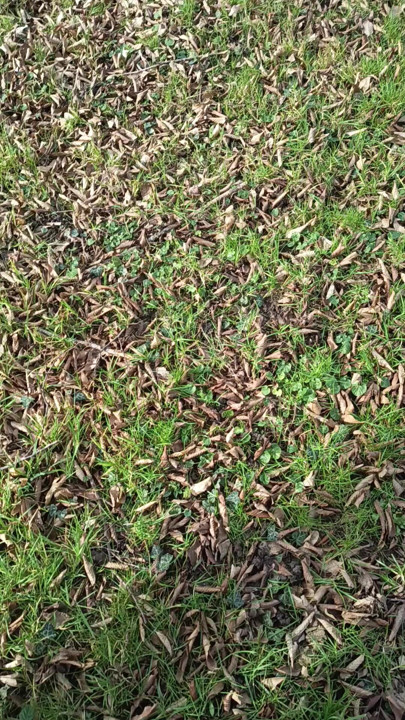 Show Outside