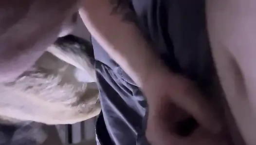 Котенок сосет член