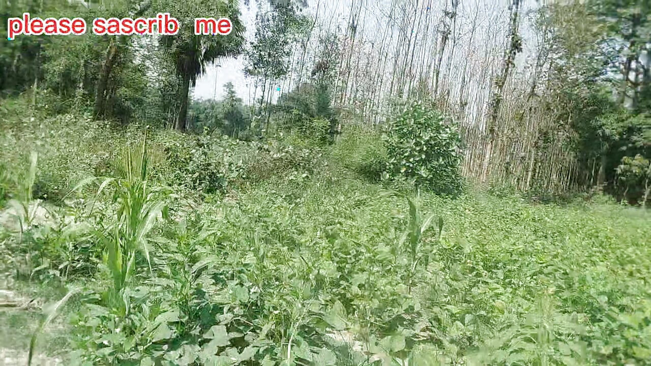 Desi bangali boy in forest fuk tree