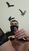 Pregled videozapisa