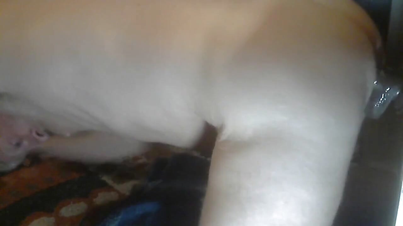 Thrusting Dildo Fucking My Wet Hole