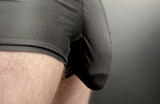 Hard cock bulge grows and is pulled out of briefs